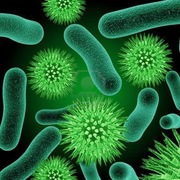 Microbiology