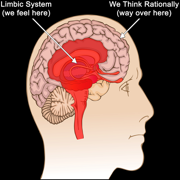 Buy-Limbic Sales Training