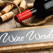 Wine Terms