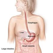 Gastrointestinal