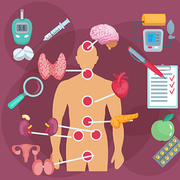 Endocrinology
