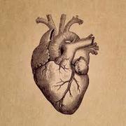Cardiology