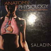 Anatomy & Physiology