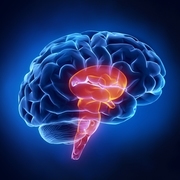 Neuro