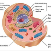 Biologia