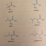 Biochem