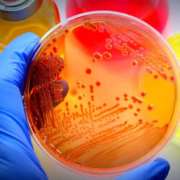Microbiology
