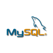 CS: Section 04 Data Transfer