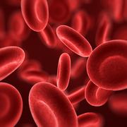 Hematologia
