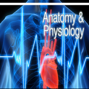 Anatomy & Physiology 