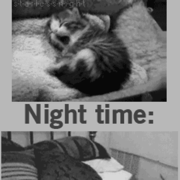 Anatomy And physiology