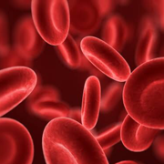Hematologia