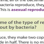 Biology