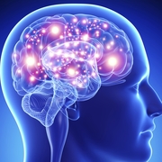 REHB2001- Neuroscience