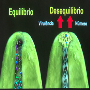 Endodontia 2