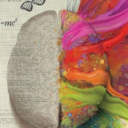 Neurologia
