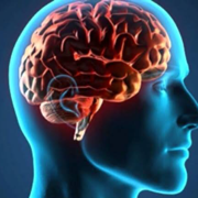 Neuro