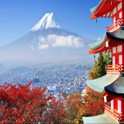 ウィザード日本語