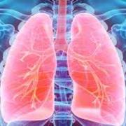 Respiratory 