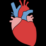 Cardiovascular 