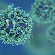 Infections