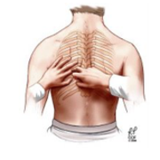 Semiologia 3° Periodo