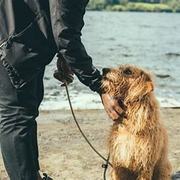 Welfare and Ethics 