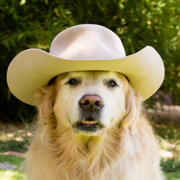 5th Pinckard_Myers PS