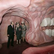 Anatomy & Physiology