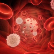 Hematología