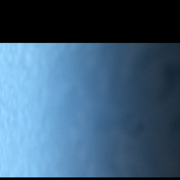 WWW