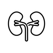 Renal