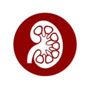 Fisio Renal 2a Parcial