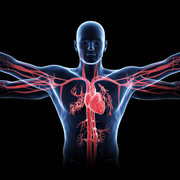 Core skills: physiology