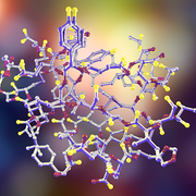 Endocrinology and Haematology