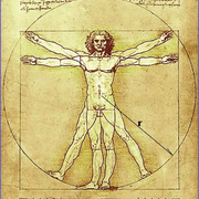 Core skills: anatomy