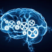 Cognitive Psychology