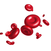 Haematology