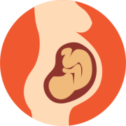 Obstetrícia