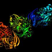 Molecular biochemistry