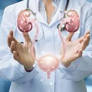 Urology