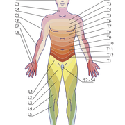 Pathophysiology