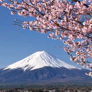 Japanese 2