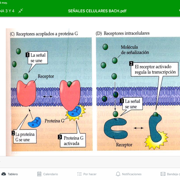 Intro Bio