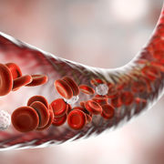 Fisiologia (Biociências I)