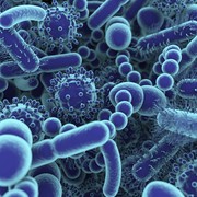 MICROBIOLOGY EXAM