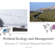Chapter 3 - Wetland Biogeochemistry
