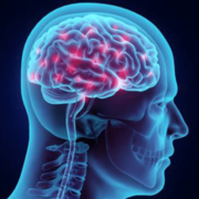 Life study - Neurologia