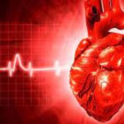 CARDIOLOGIA