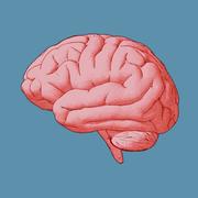 Molly Y3 - Neurology